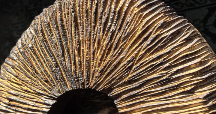 Русское зодчество — душа в каждом изделии