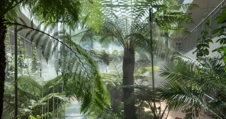 Черноморская жемчужина