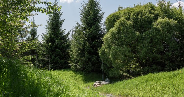 Выдержка. Терпение. И капелька удачи